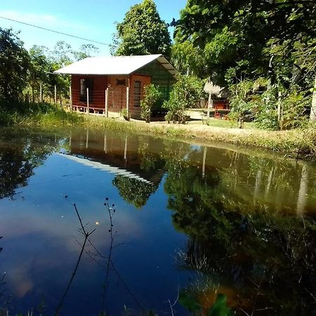 Albertico Jungle House Guest House Pucallpa Exterior photo