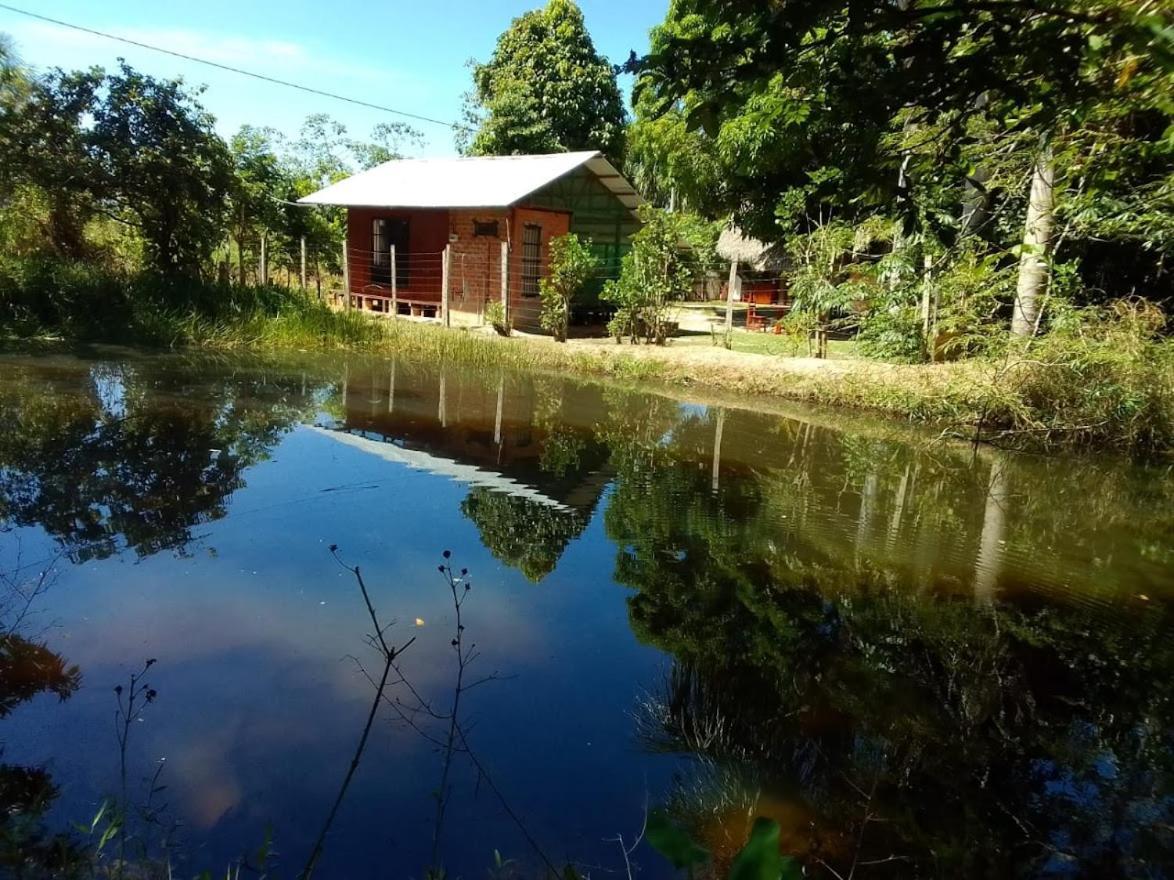 Albertico Jungle House Guest House Pucallpa Exterior photo