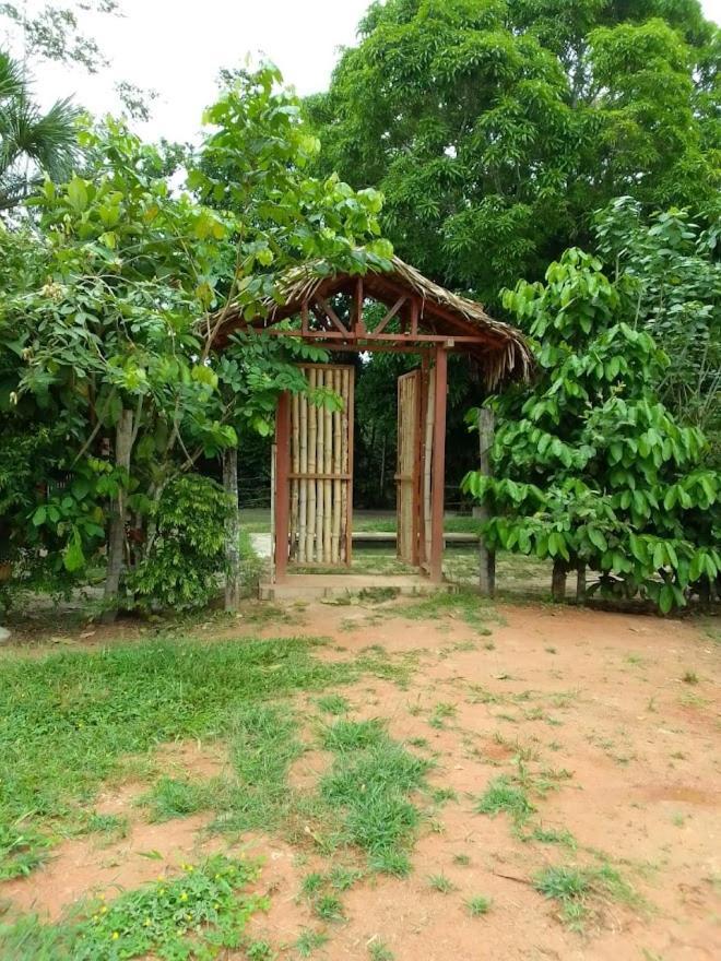 Albertico Jungle House Guest House Pucallpa Exterior photo